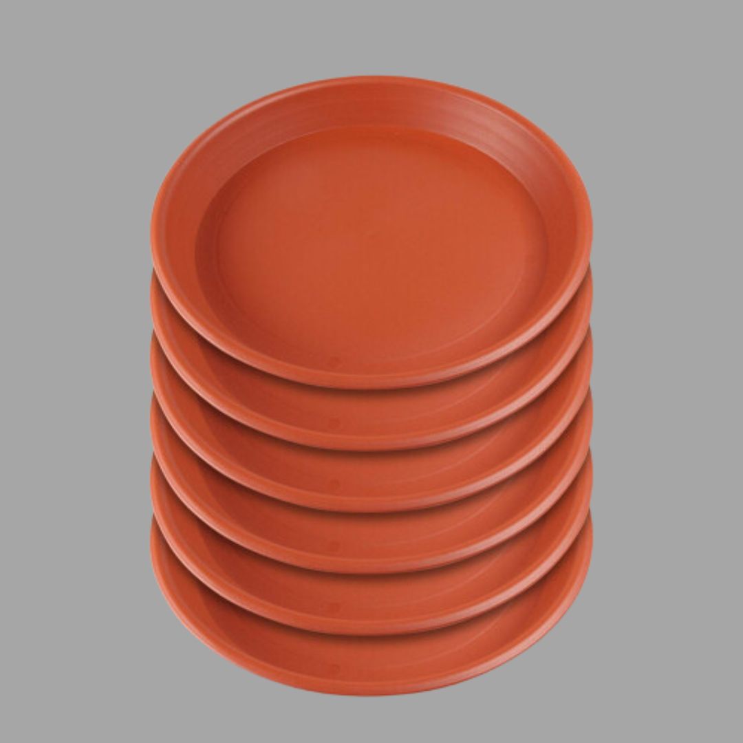 Bottom Plates