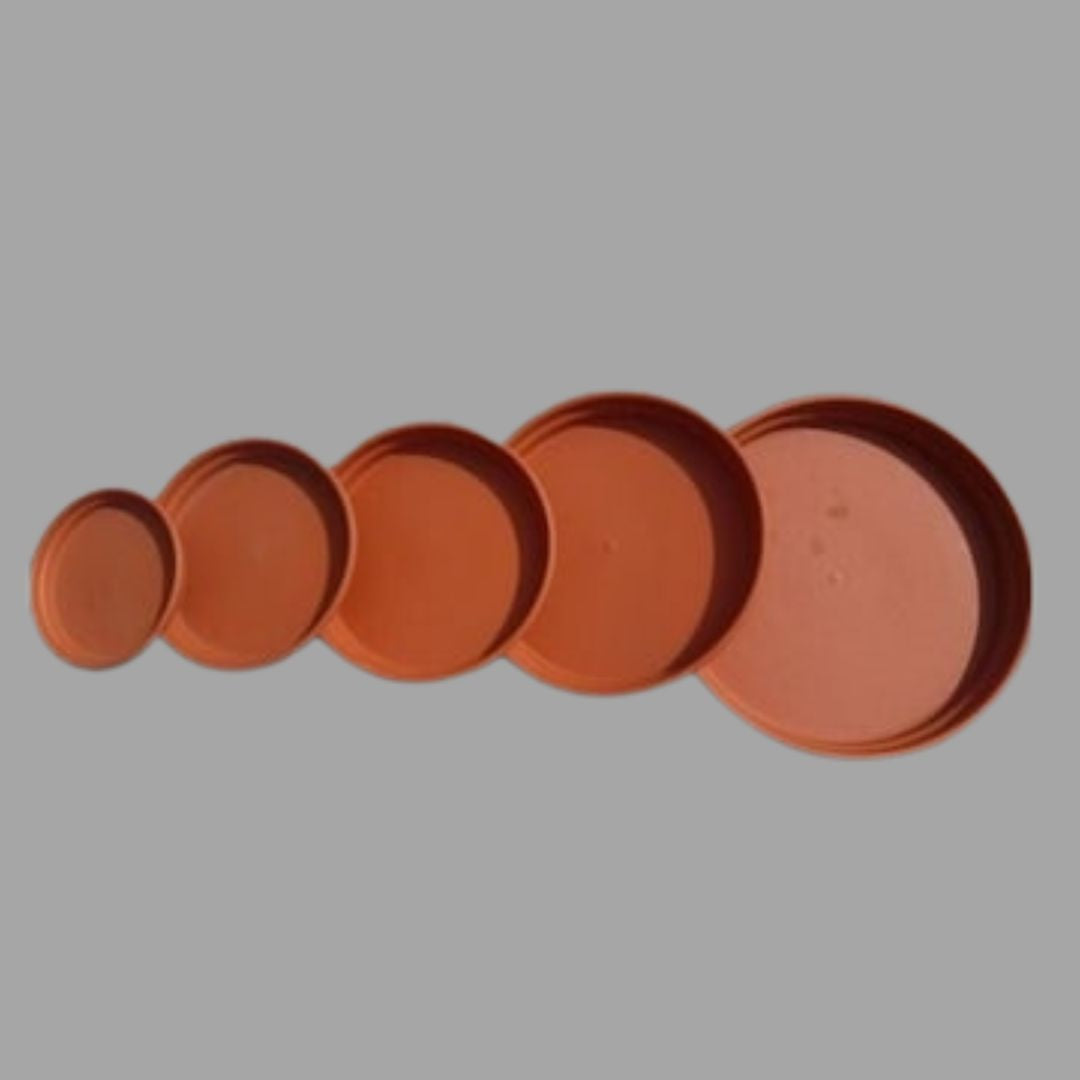 Bottom Plates