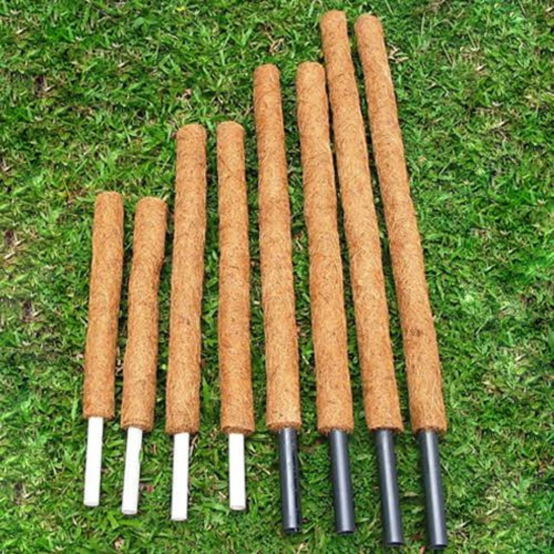 Mosstick