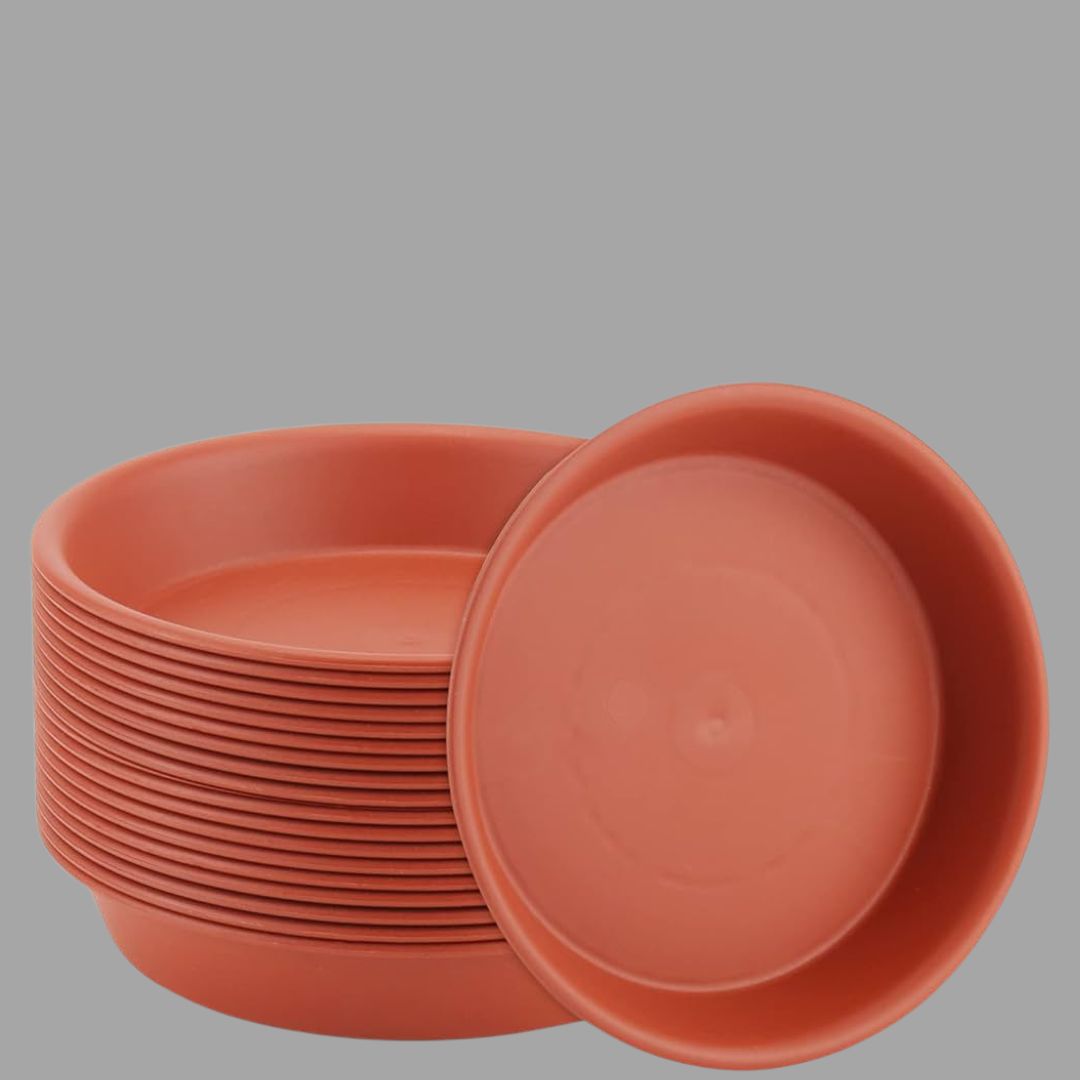 Bottom Plates