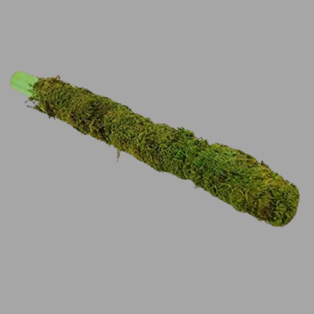Mosstick