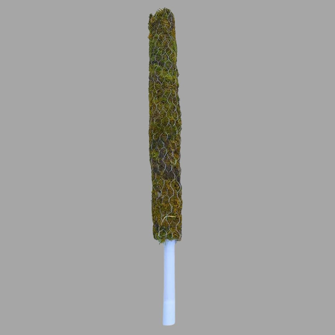 Mosstick