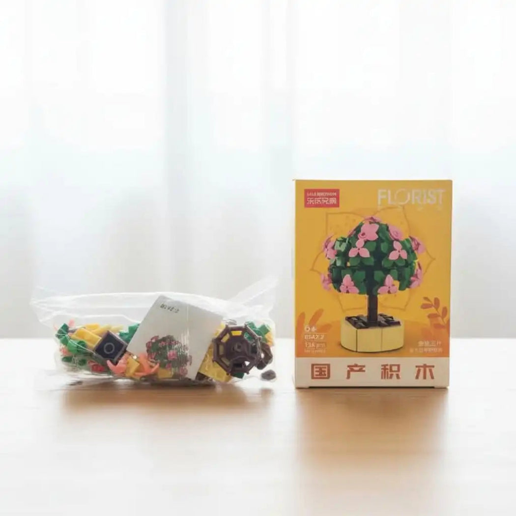 Portulacaria Afra Building Block Toy Plant