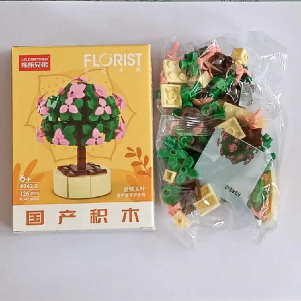 Portulacaria Afra Building Block Toy Plant