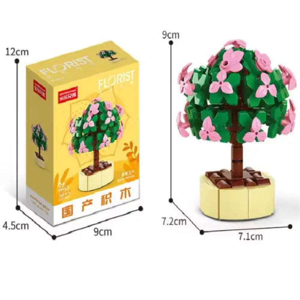 Portulacaria Afra Building Block Toy Plant