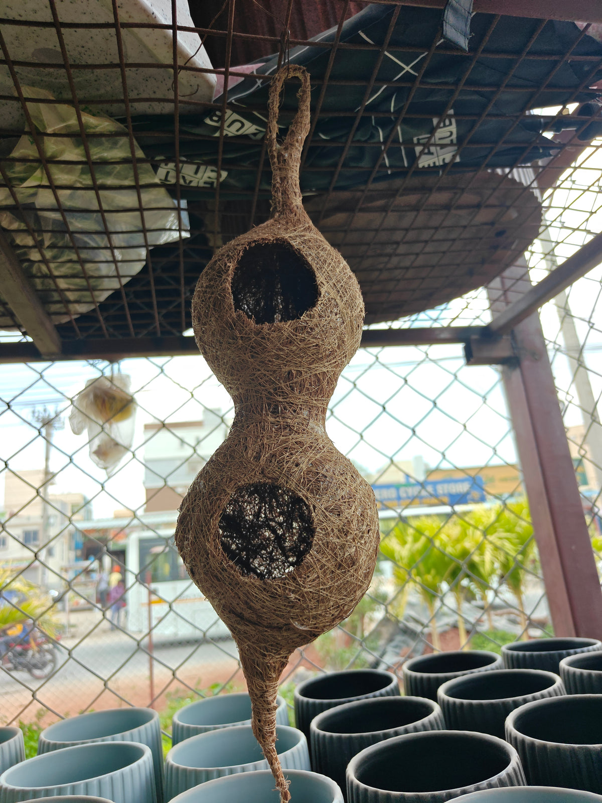 Bird nest double