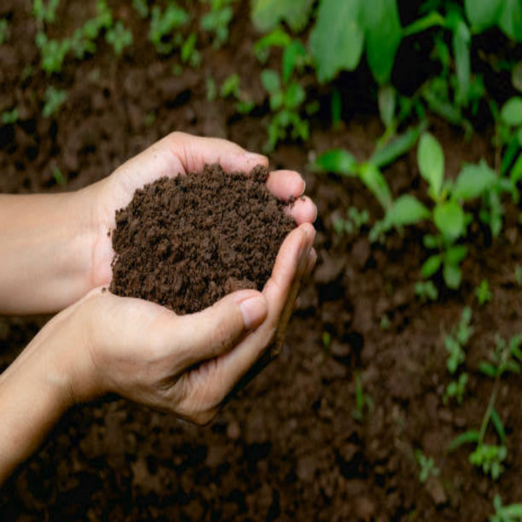 Compost