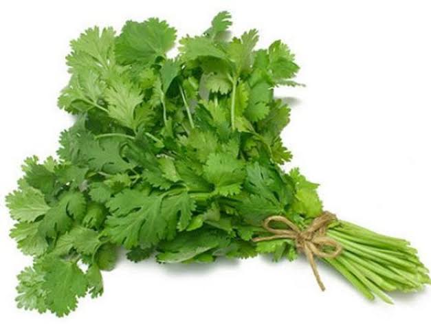 Coriander Seeds