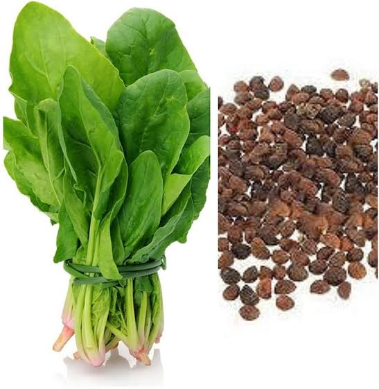 Palakura Seeds
