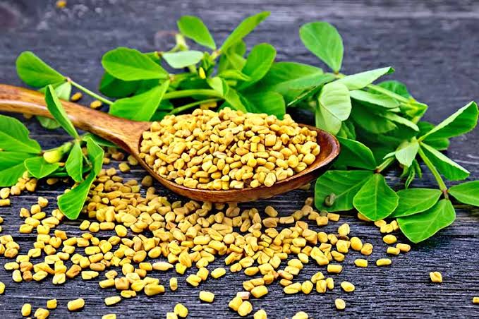 Menthi Kura Seeds
