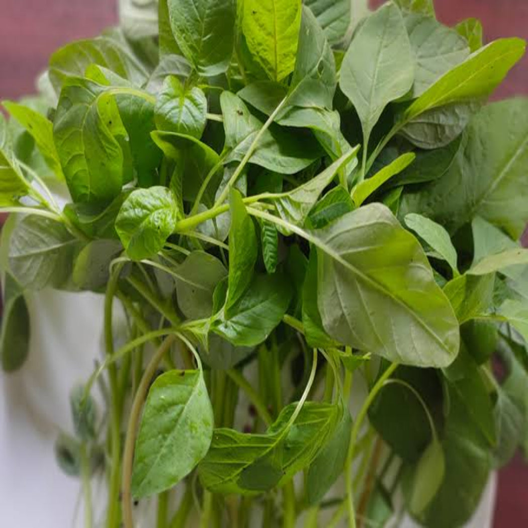 Thotakura Seeds