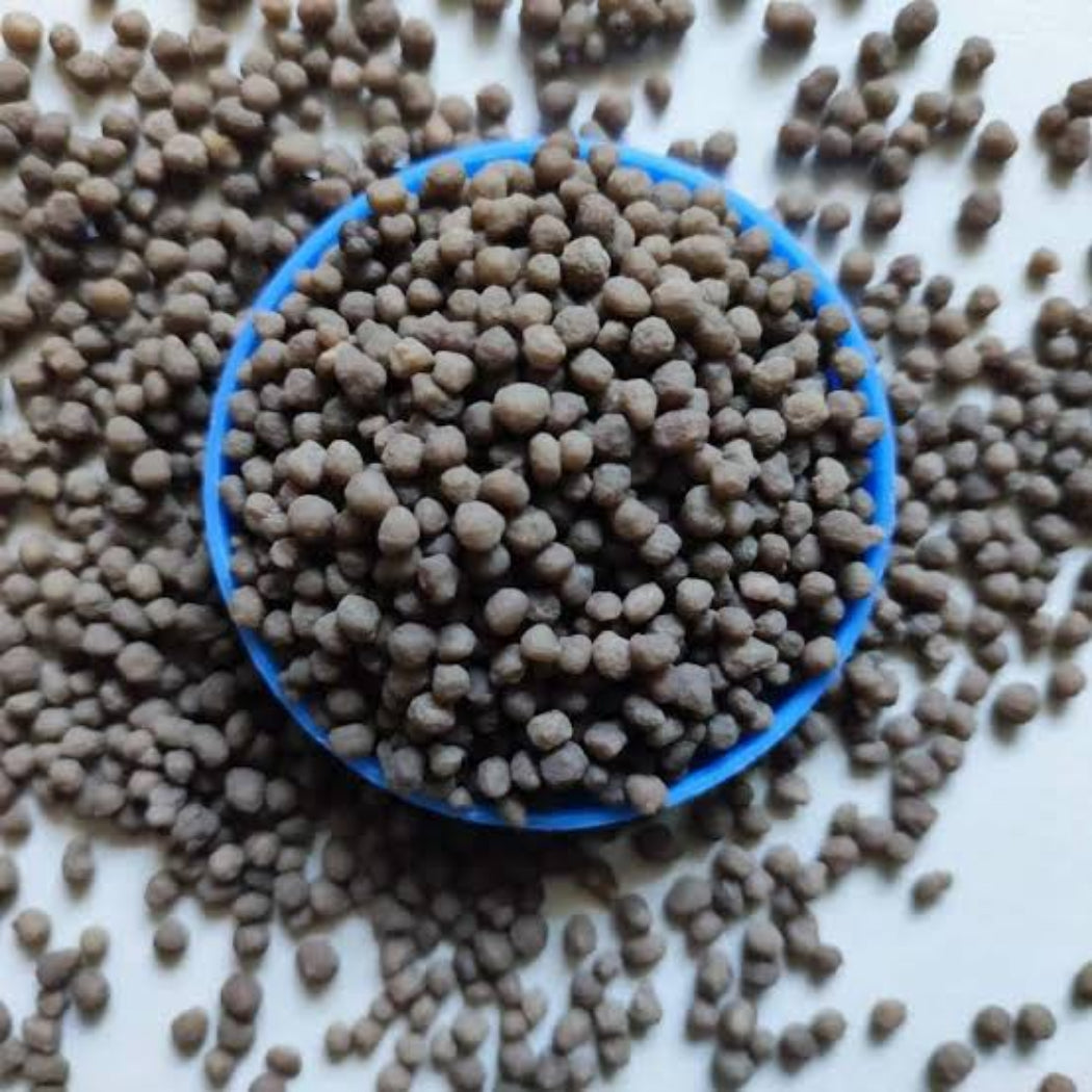 DAP ( Diammonium Phosphate )