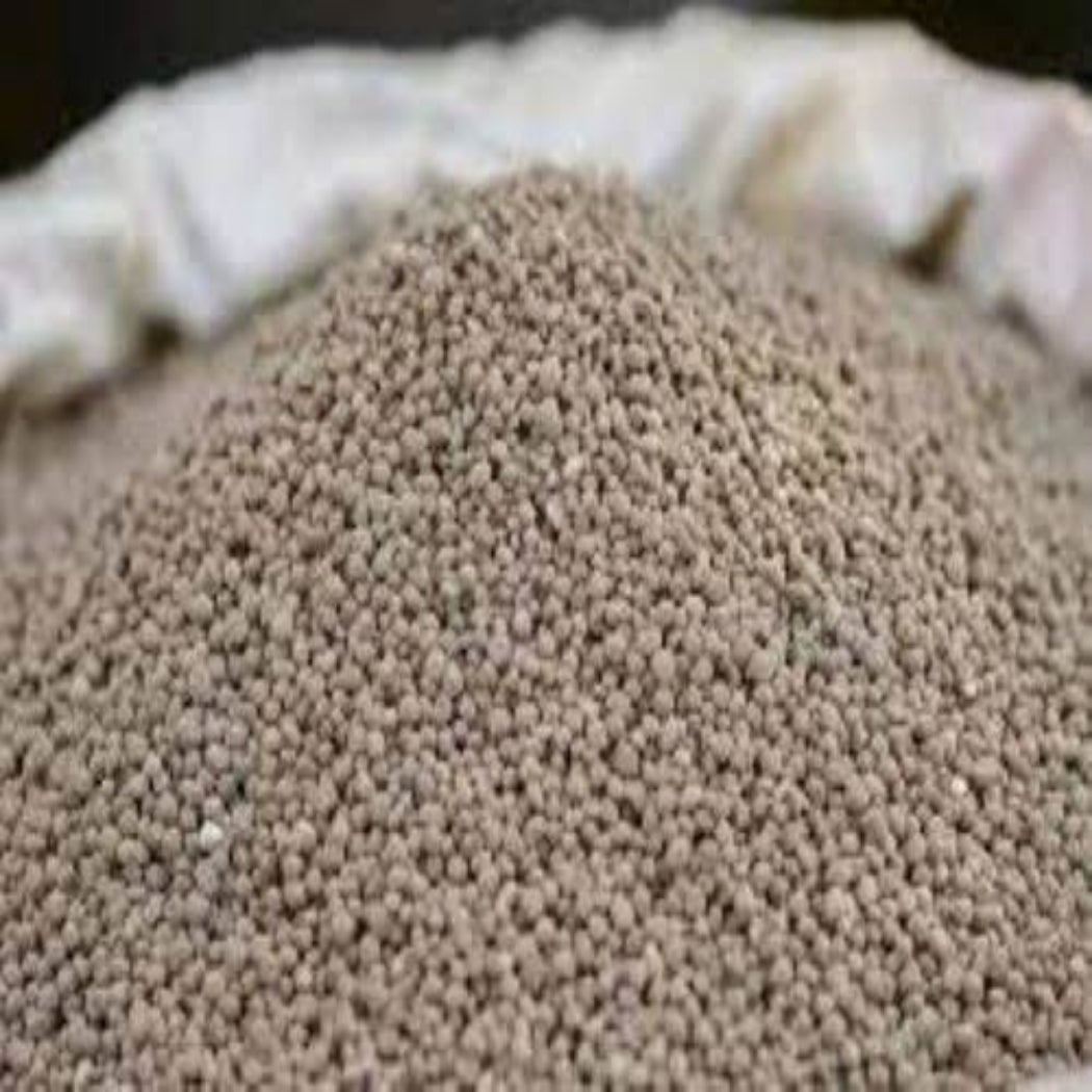 DAP ( Diammonium Phosphate )