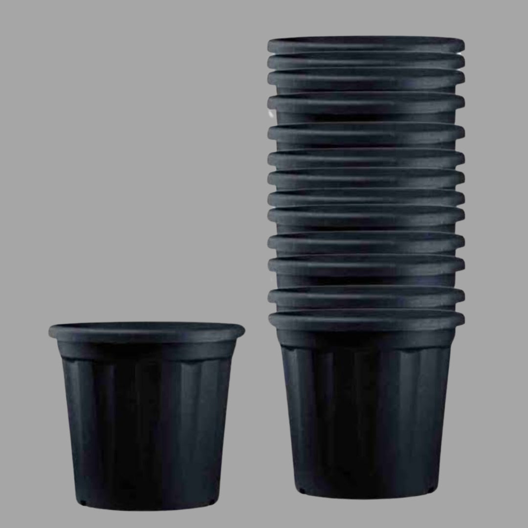 Sphere Shape Black Pots