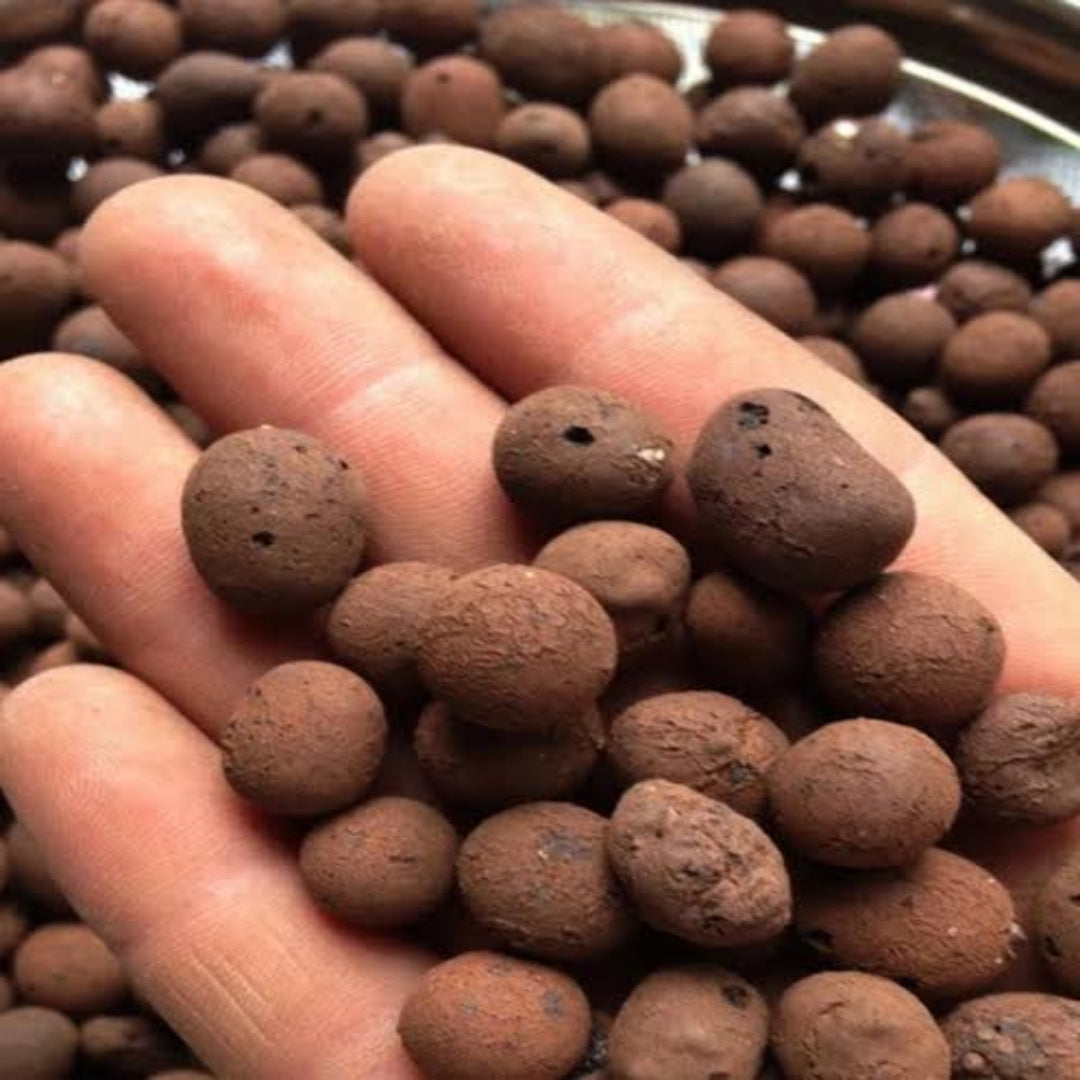 Leca Clay Balls