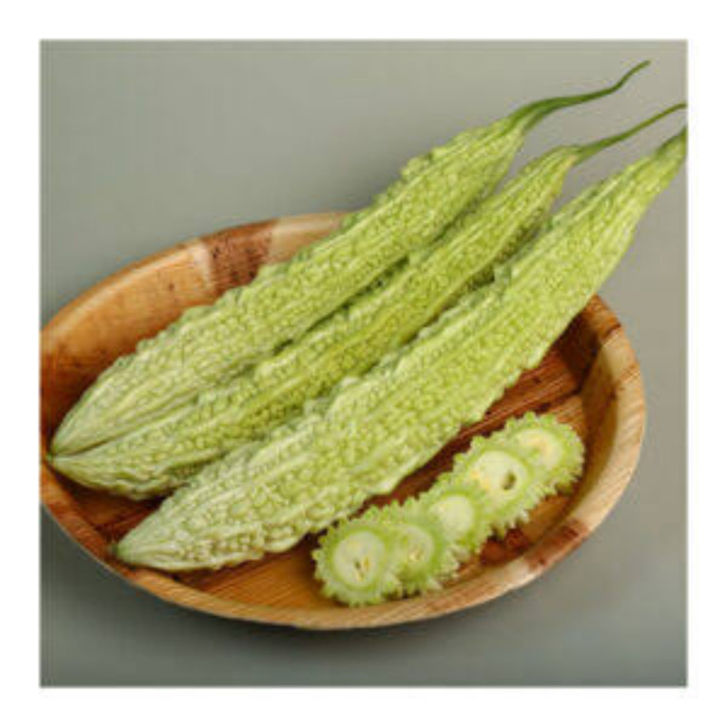 Bitter Gourd Seeds White ( Maya 009 Variety )