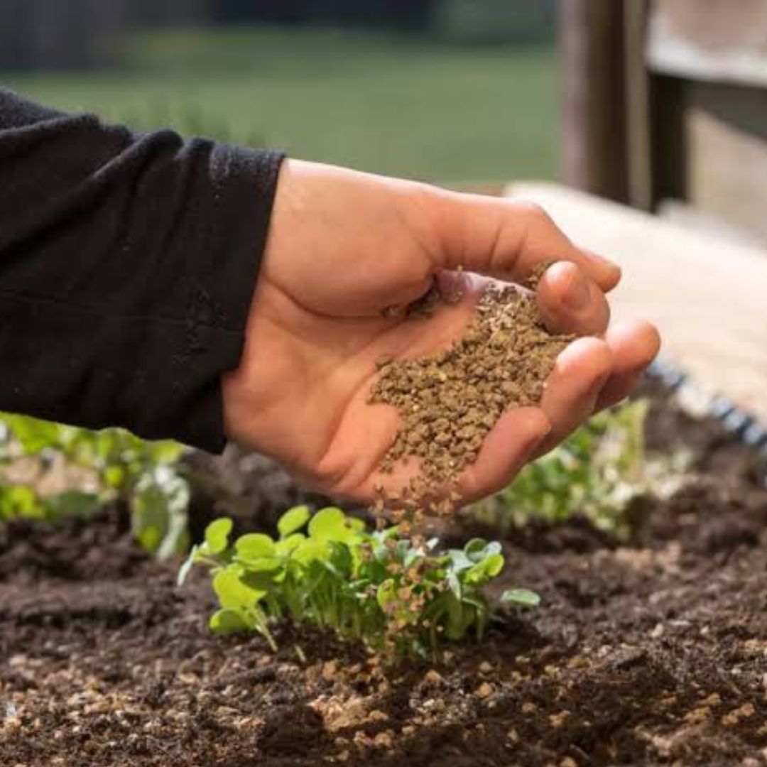 Bone Meal Fertilizer