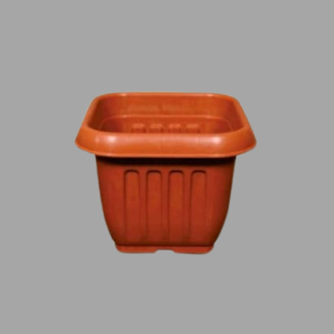 Green India Square Pots Brown