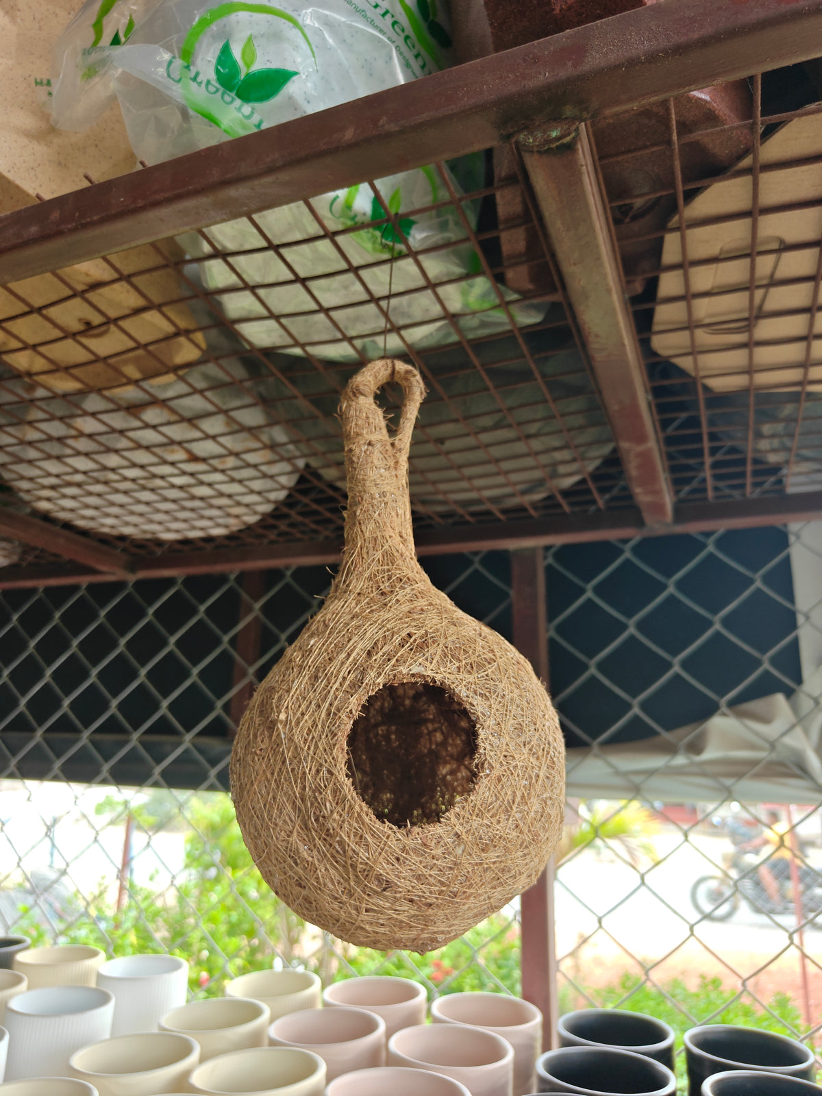 Bird nest