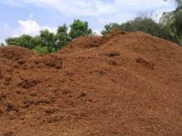 Cocopeat