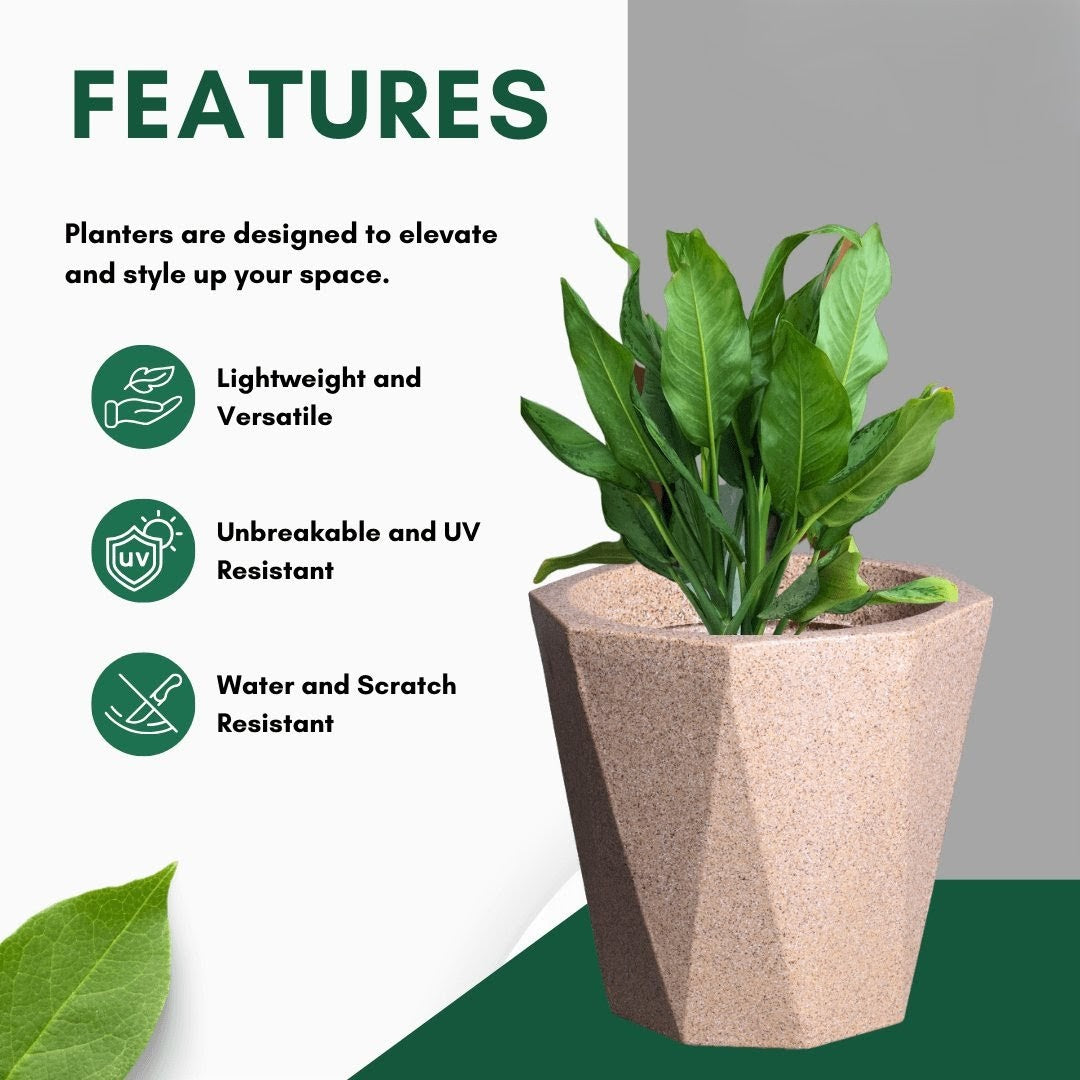 Diamond Planter Roto Moulding Suitable for Home, Gardens, Hotels and Resorts