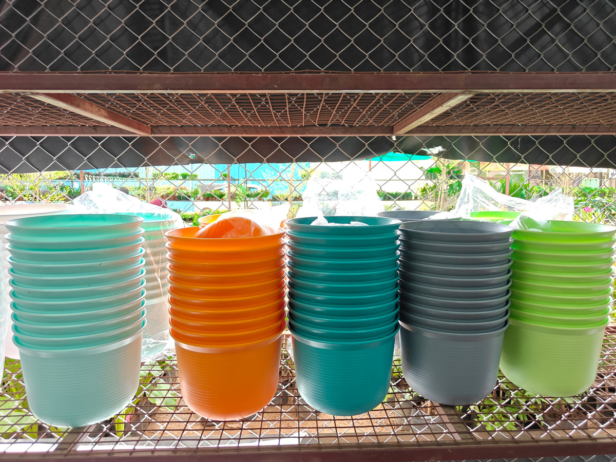 Pune sphere pots with plates