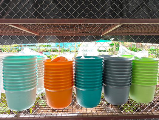 Pune sphere pots with plates