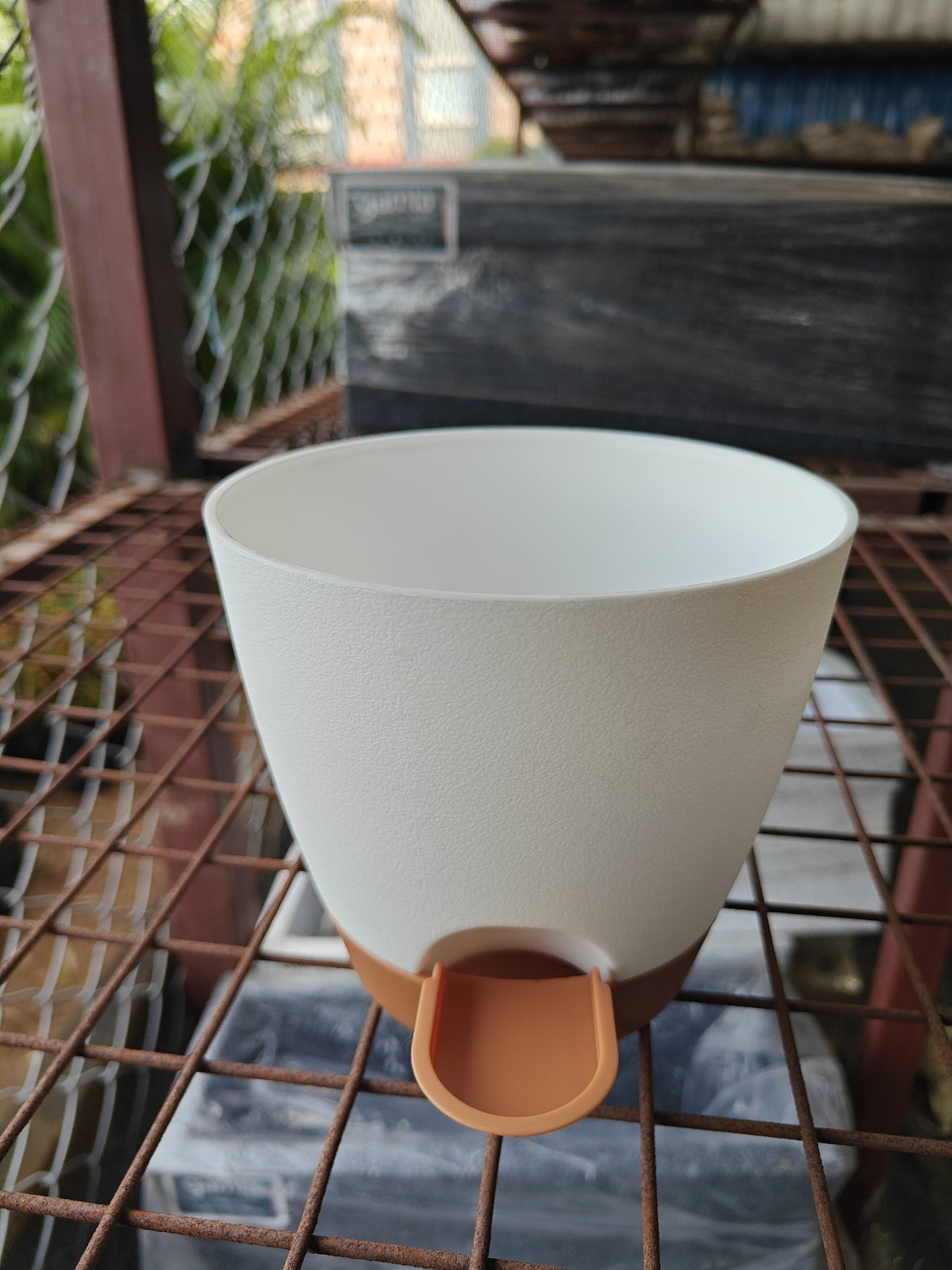 Self Watering plant
