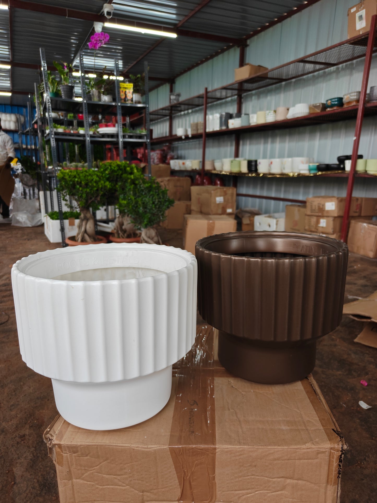 Platinum Planter Pots