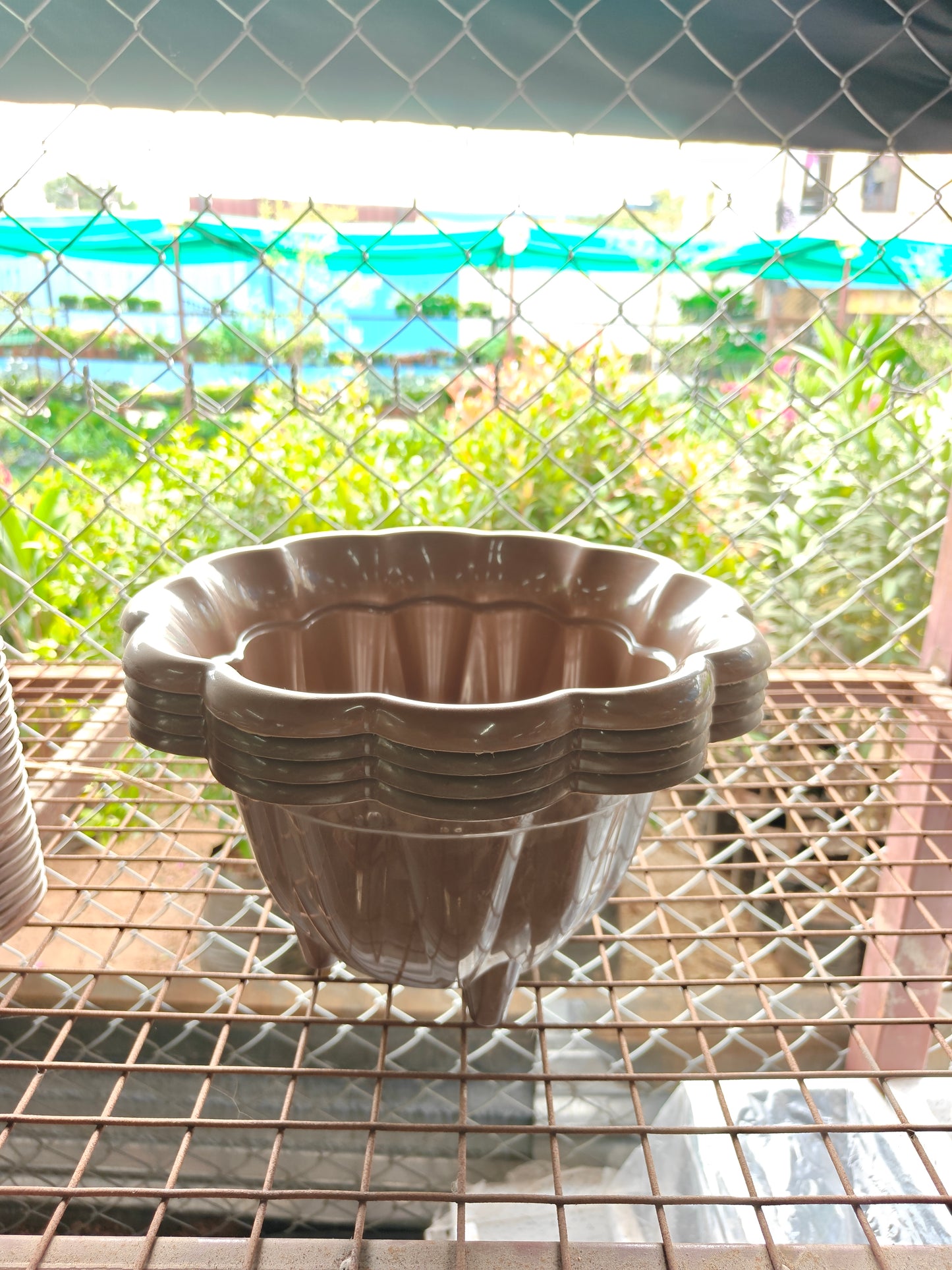 Orchid Pariwar Pot
