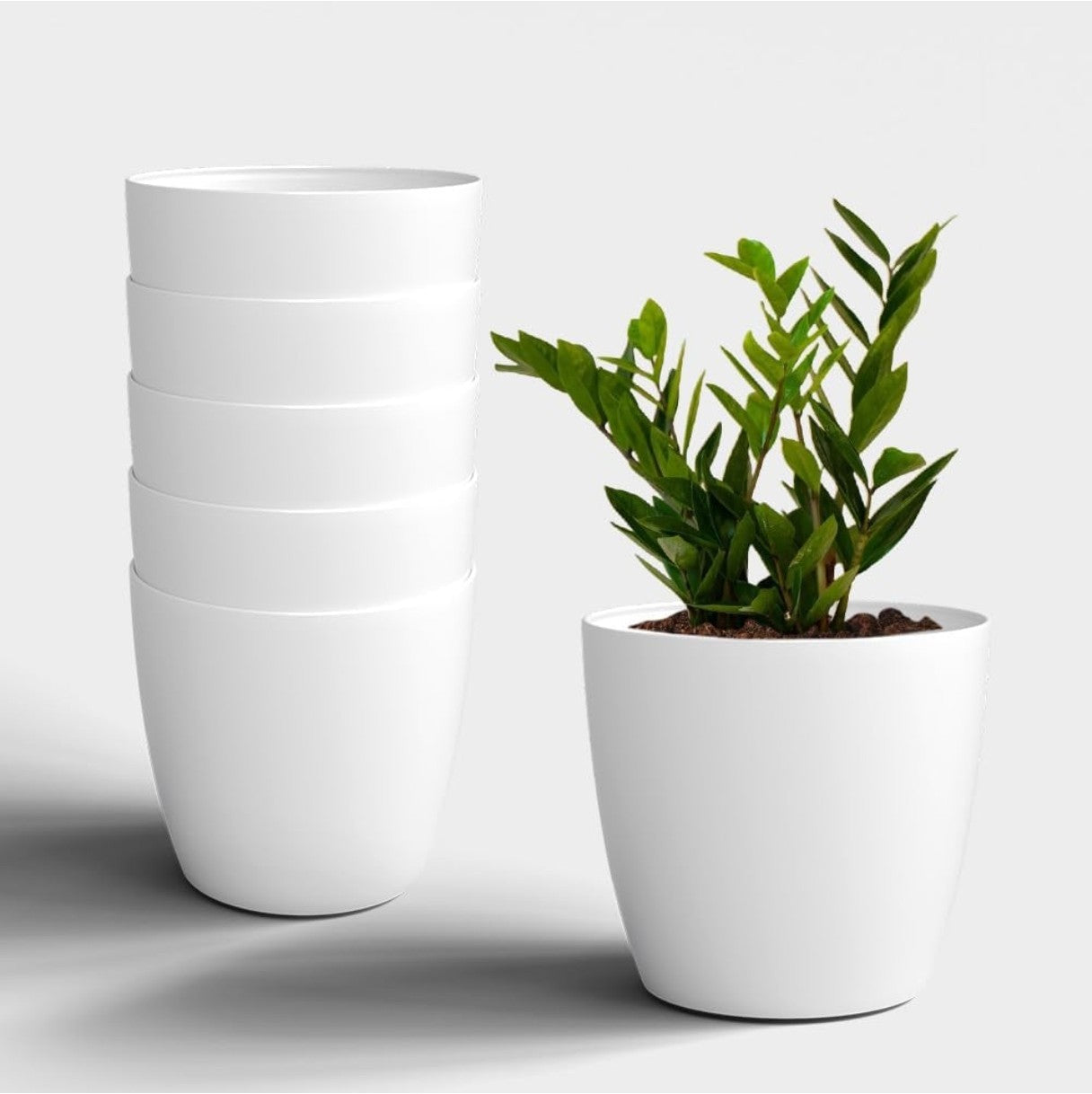 Colour pots