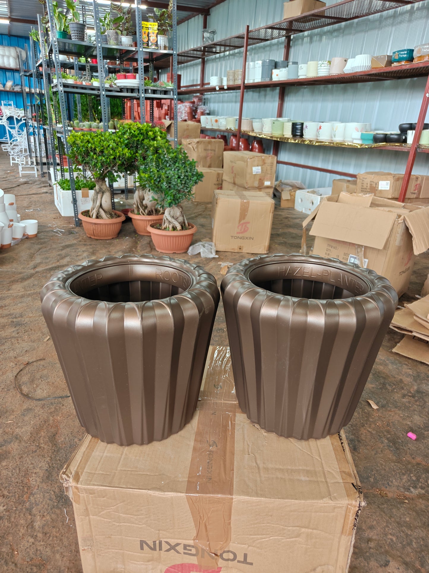 Hazel Planter Pots