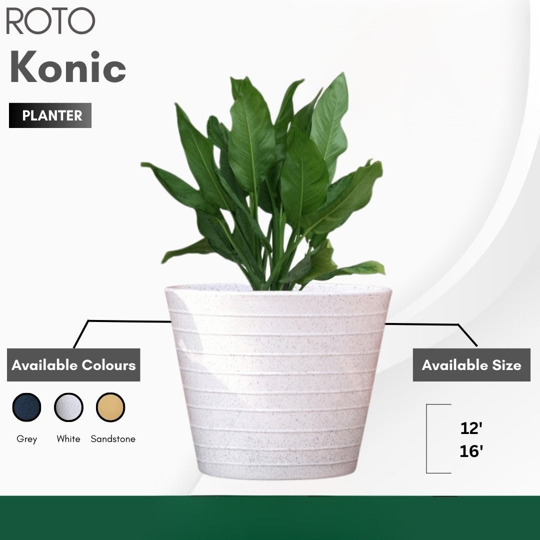 Konic Planter Roto Moulding Suitable for Home, Gardens, Hotels and Resorts
