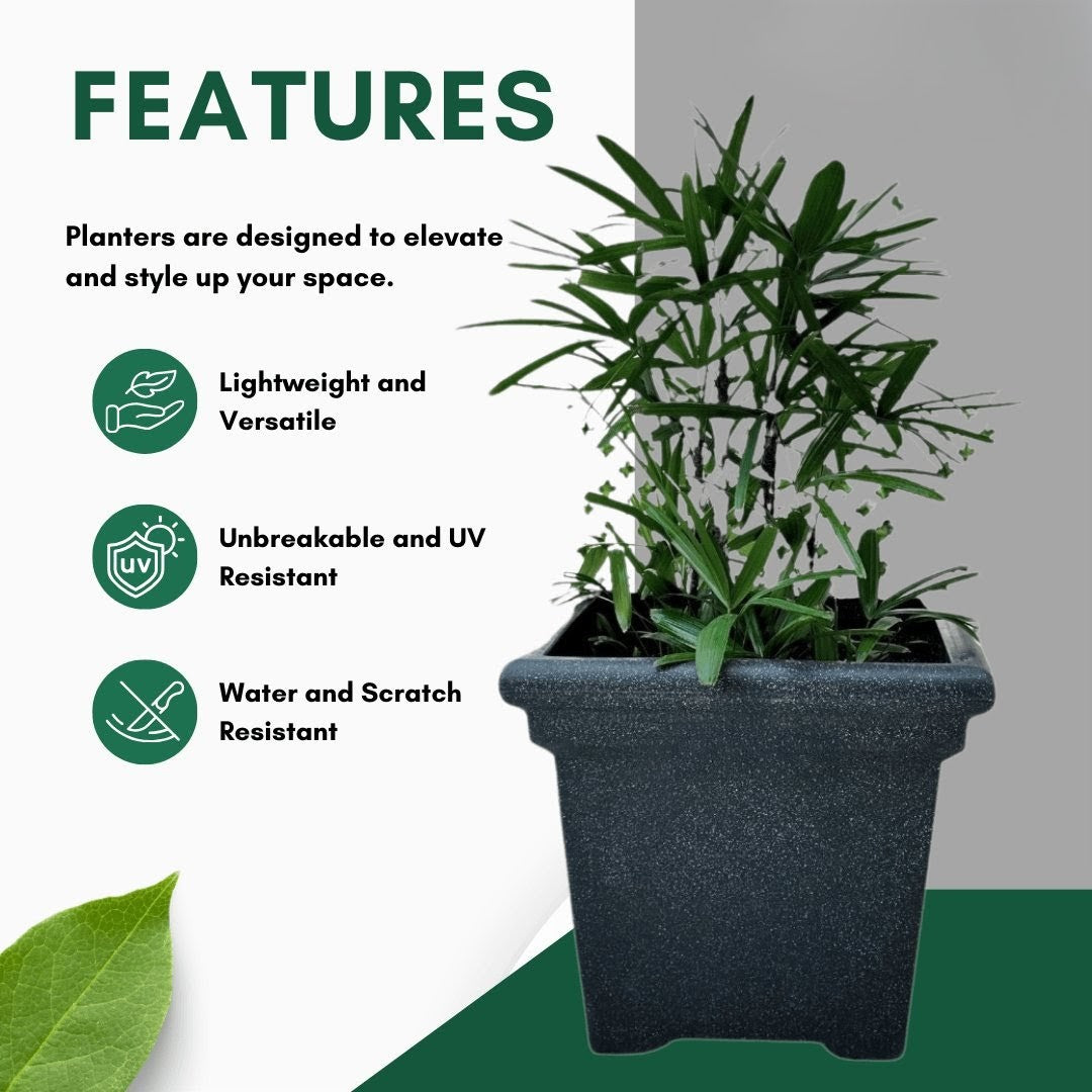 Dino Planter Roto Moulding Planter Suitable for Home, Gardens, Hotels and Resorts