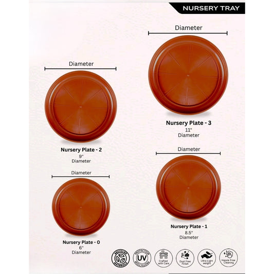 Bottom Plates