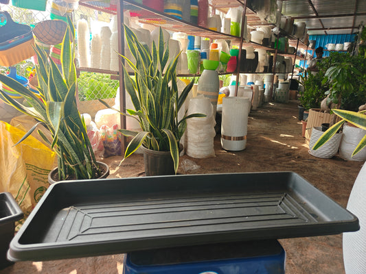 Rectangle Black Pot tray