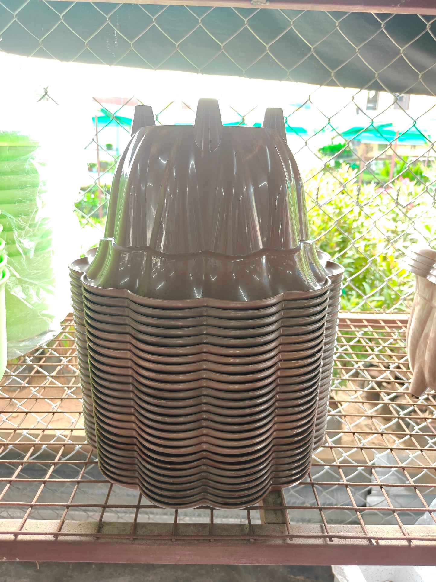 Orchid Pariwar Pot