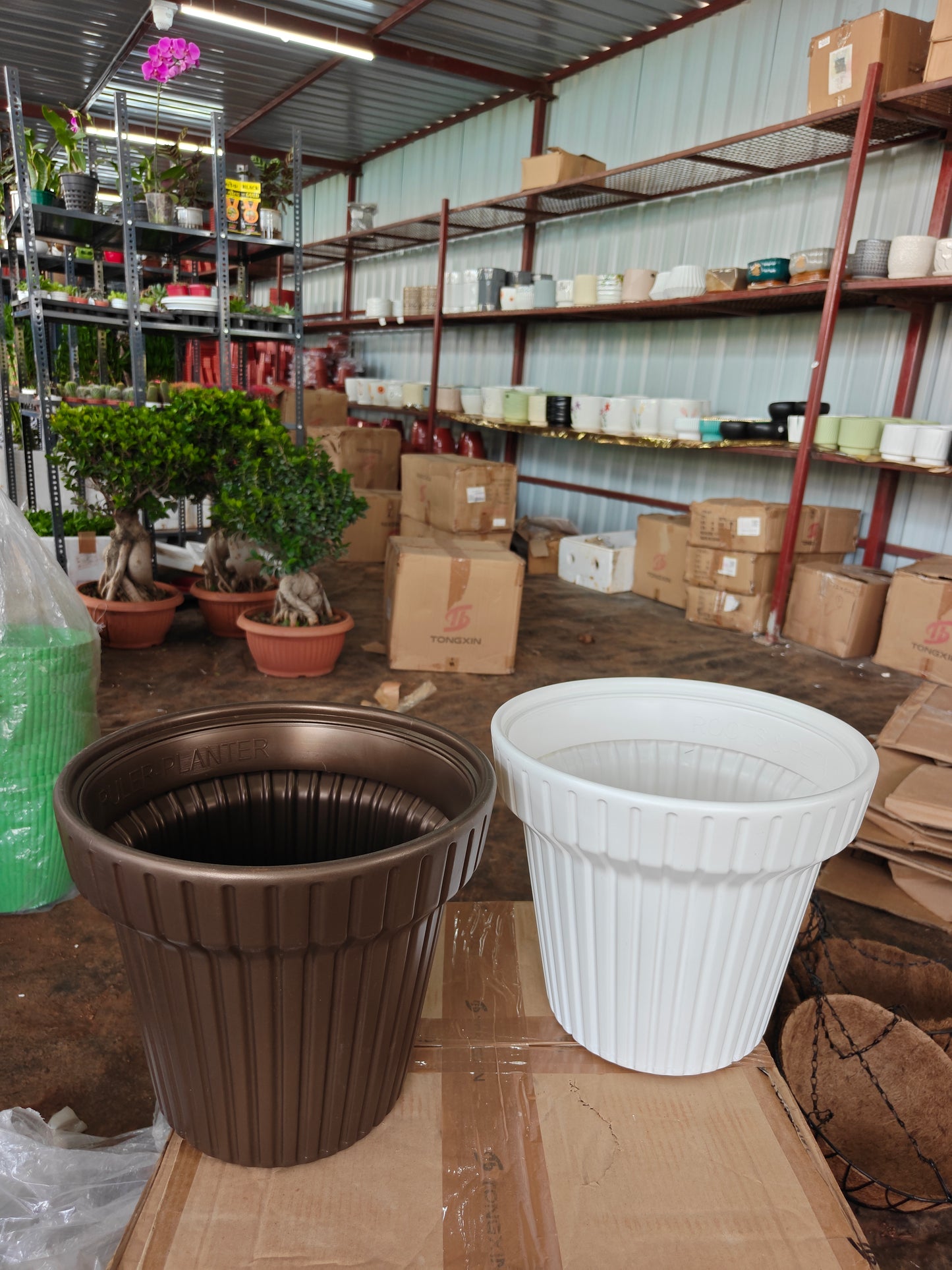 Ruler Planter Pots