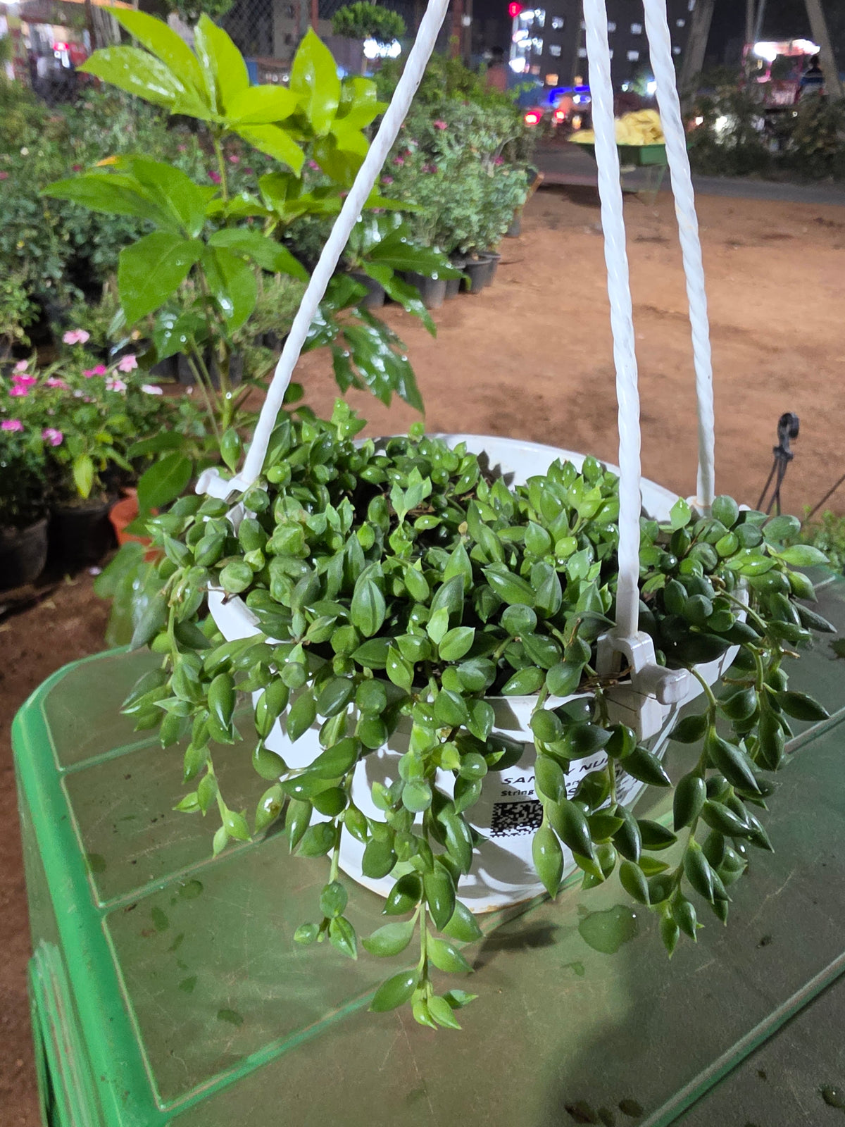 String of Perals Hangings