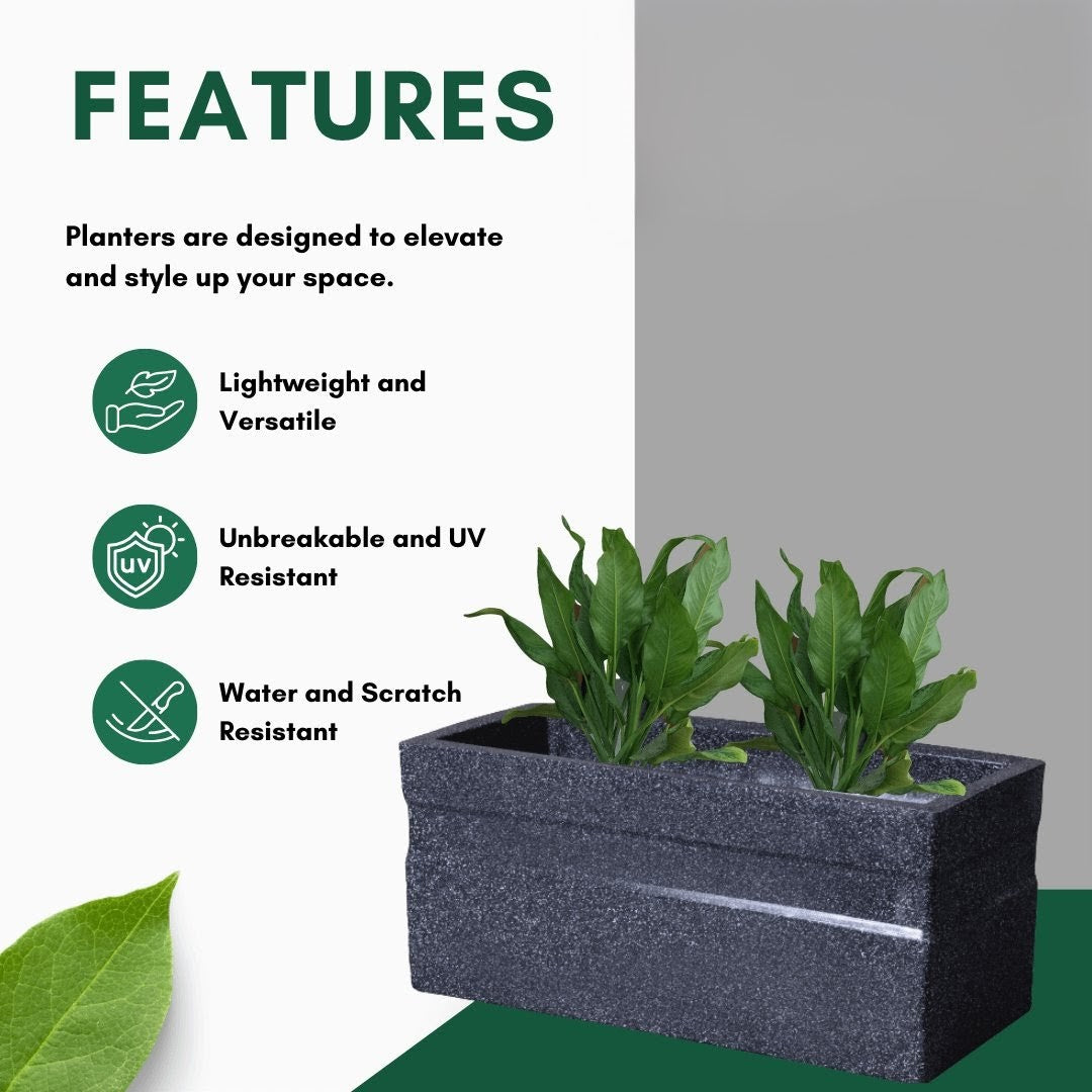 Quad Planter Roto Moulding Planter Suitable for Home, Gardens, Hotels and Resorts