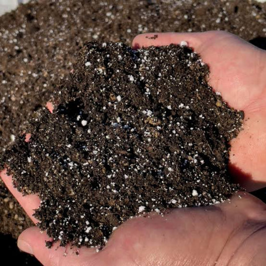 Potting Mix For Indoor Plants