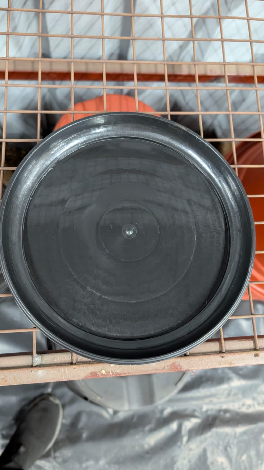 Black bottom plates black pots