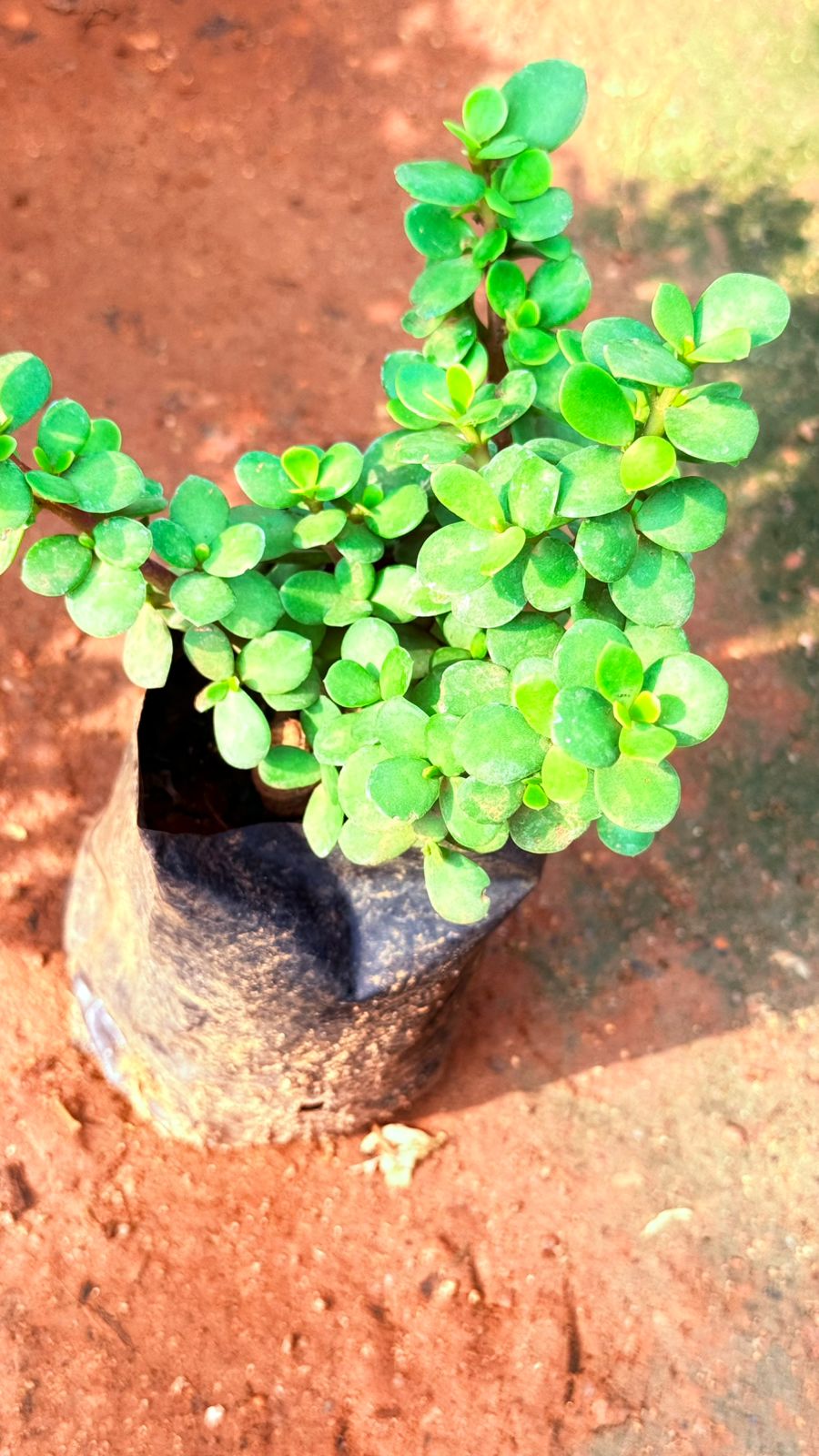 Jade 7/8 Nursery bag