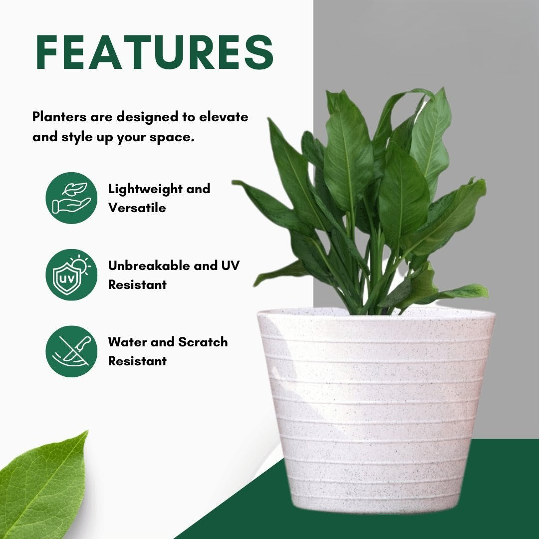 Konic Planter Roto Moulding Suitable for Home, Gardens, Hotels and Resorts