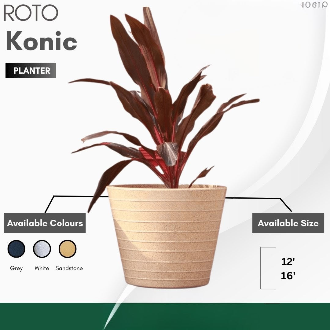 Konic Planter Roto Moulding Suitable for Home, Gardens, Hotels and Resorts