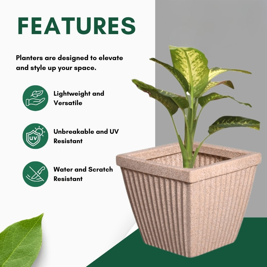 SPARK SQUARE PLANTER Roto Moulding Suitable for Home, Gardens, Hotels and Resorts