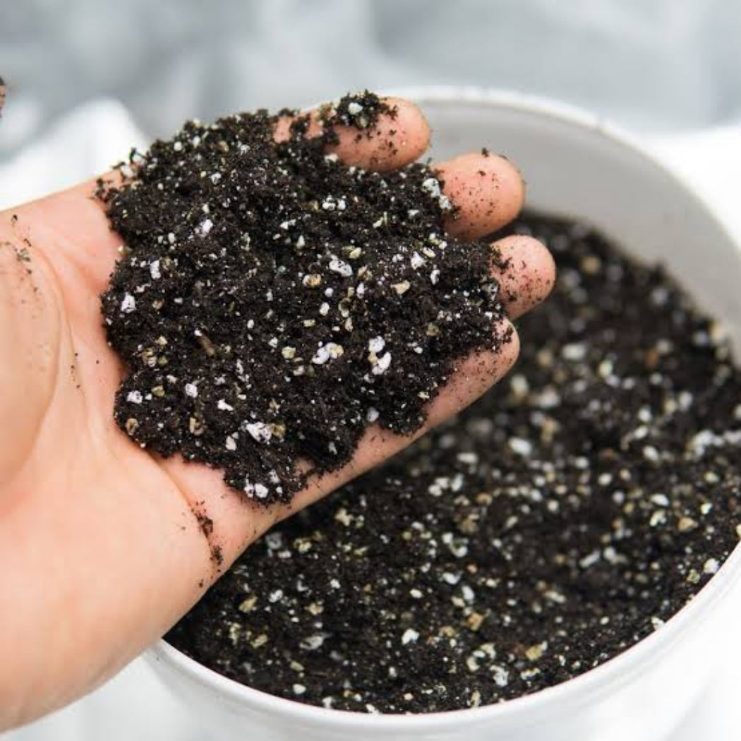 Potting Mix For Indoor Plants