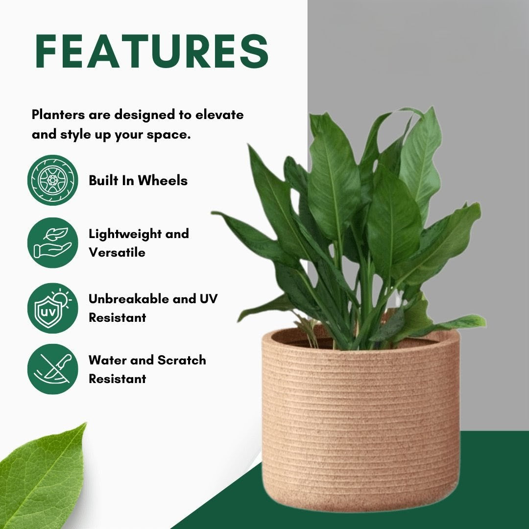 Ribble Wheel Planter Roto Moulding Suitable for Home, Hotels and Resorts