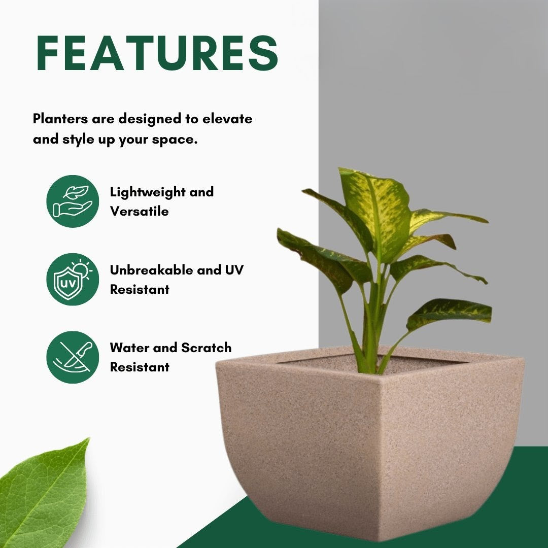Jaguar Planter Roto Moulding Planter Suitable for Home, Gardens, Hotels and Resorts