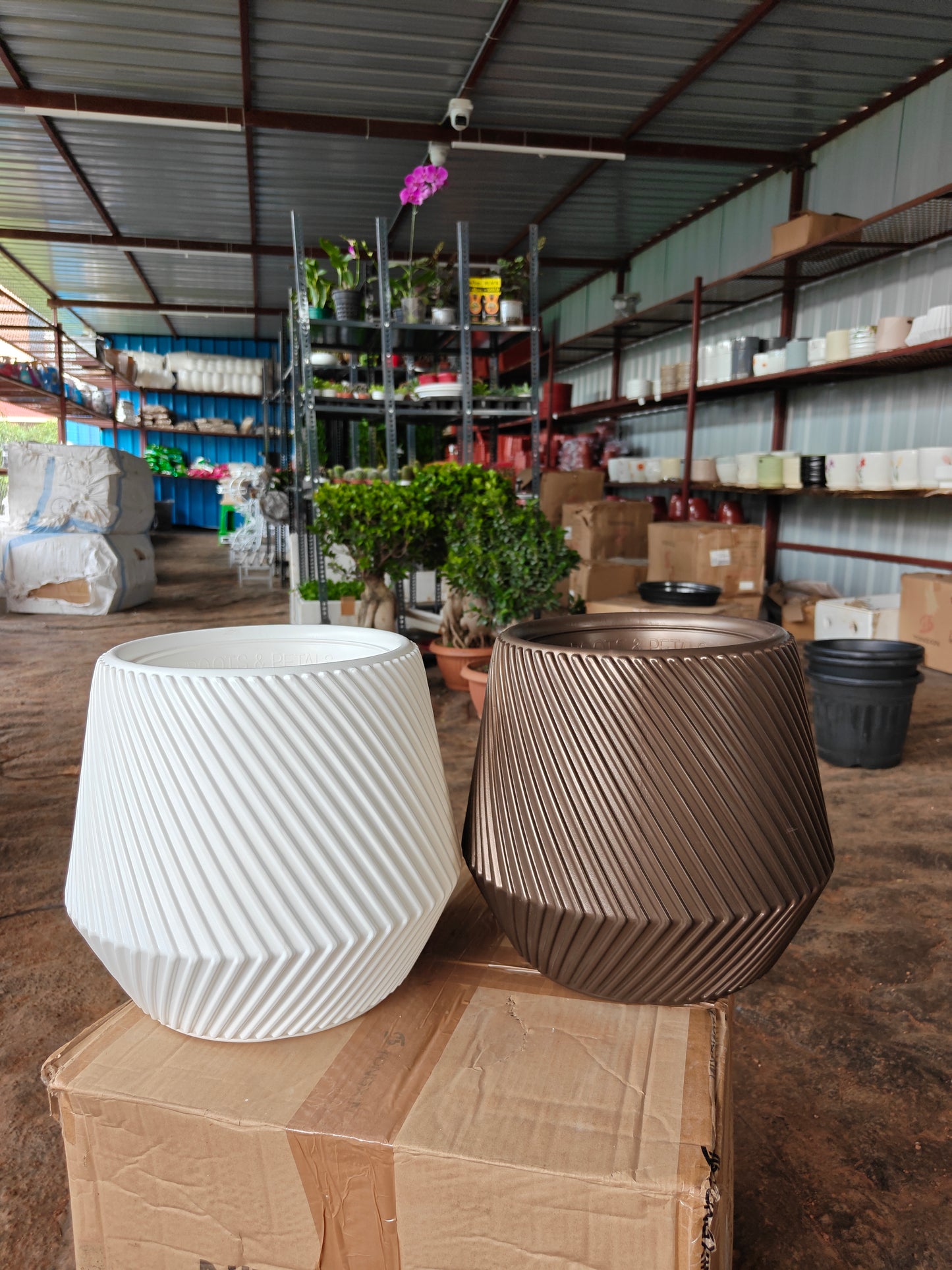 Lord Planters Pots